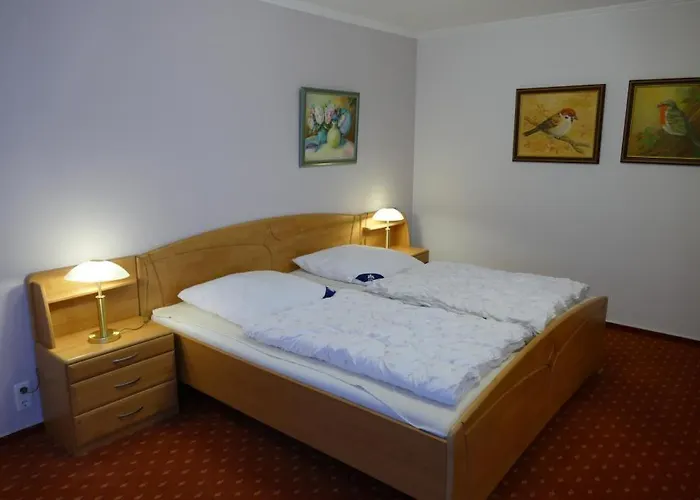 Baltic Nr. 26 شاربوتس